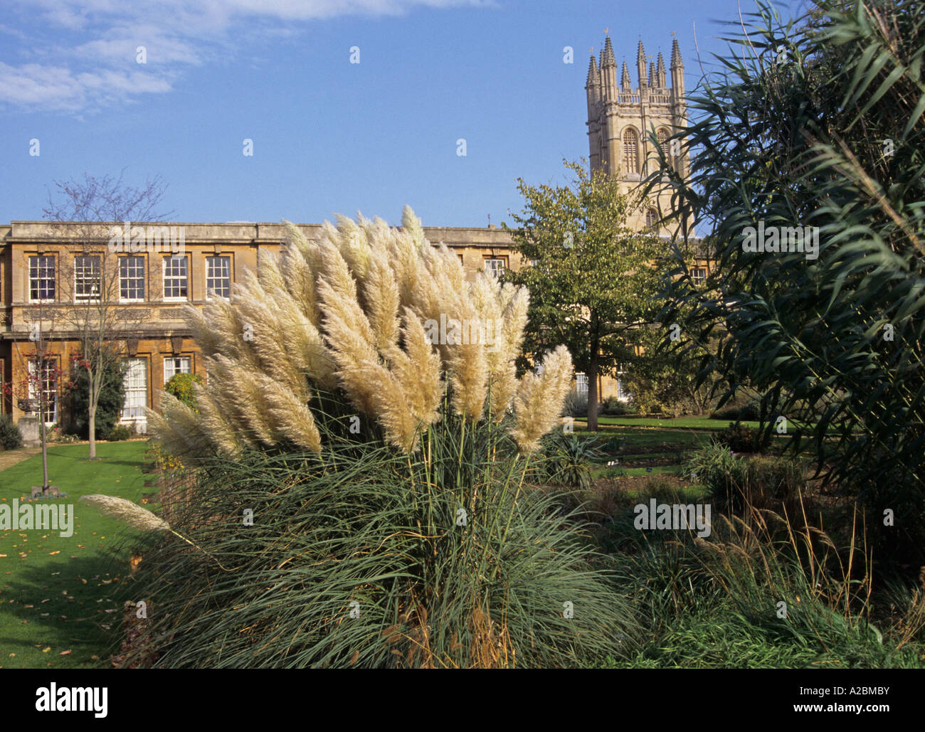 Botanic Gardens Oxford Royaume-Uni Banque D'Images