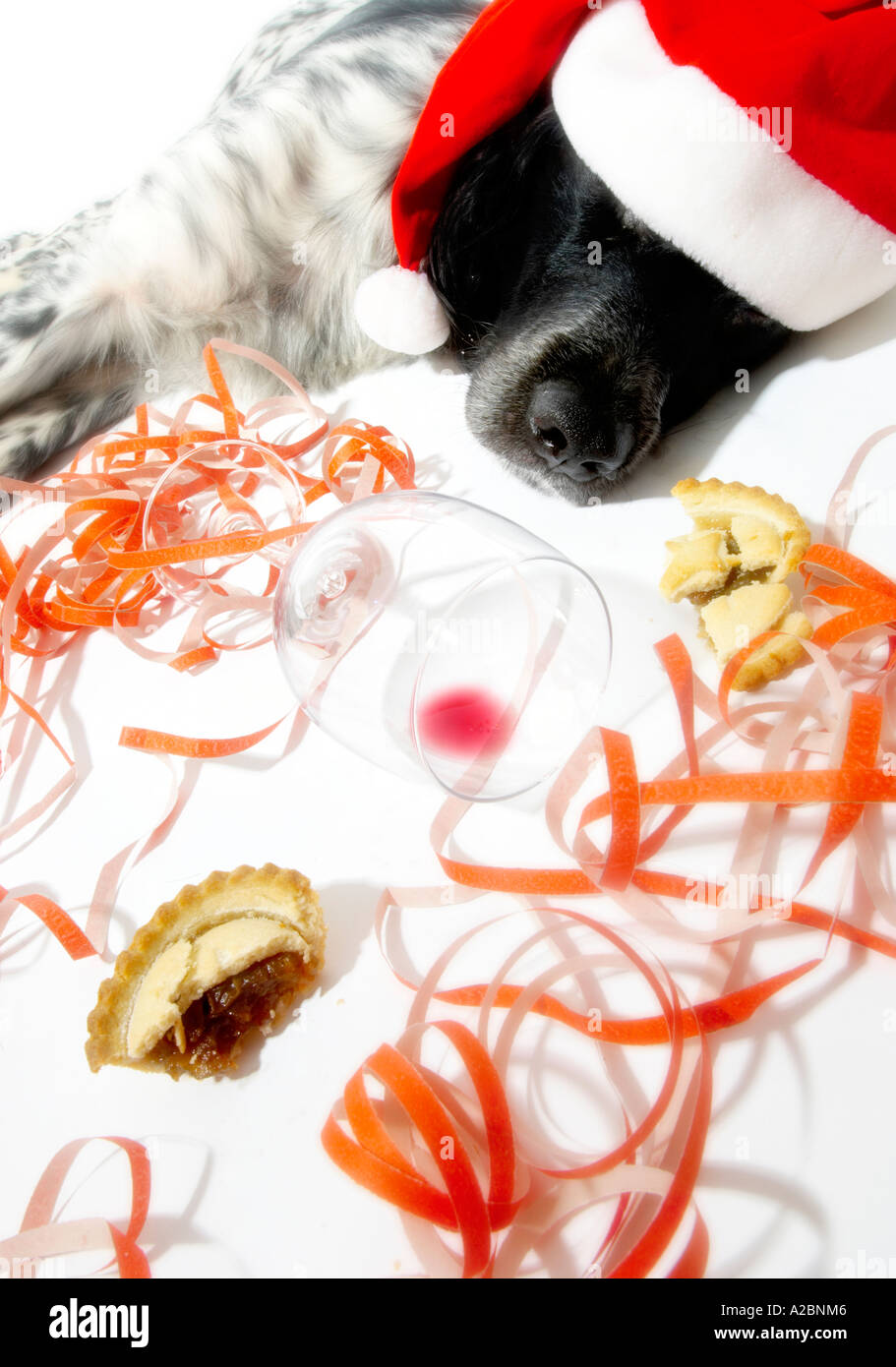 Photo studio d'un chien endormi dans un chapeau de Père Noël, entouré de banderoles en papier, d'un verre à vin vide et de nourriture de fête jetée. Banque D'Images