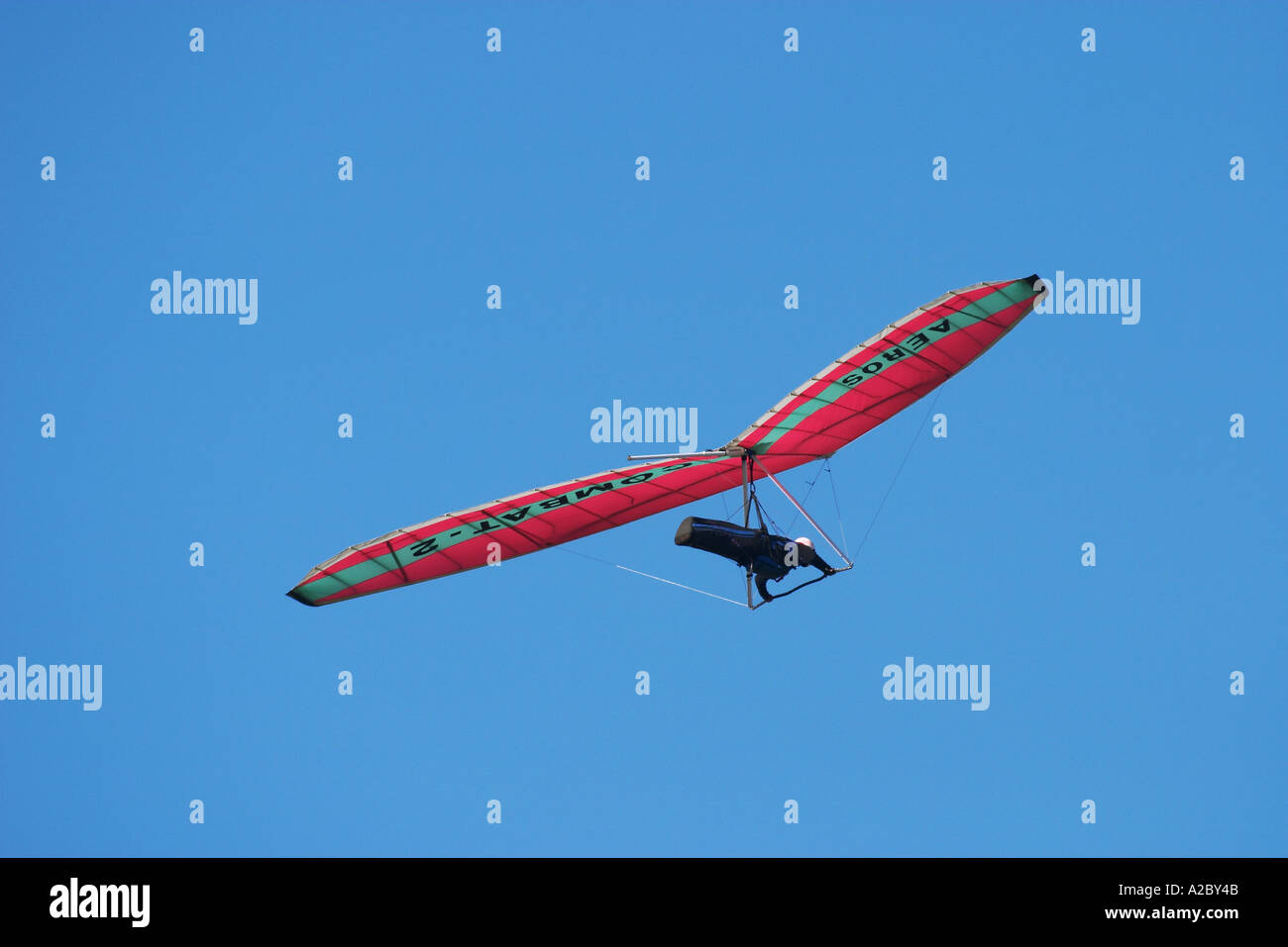 Planeur Péninsule d'Otago ile sud Nouvelle Zelande Banque D'Images
