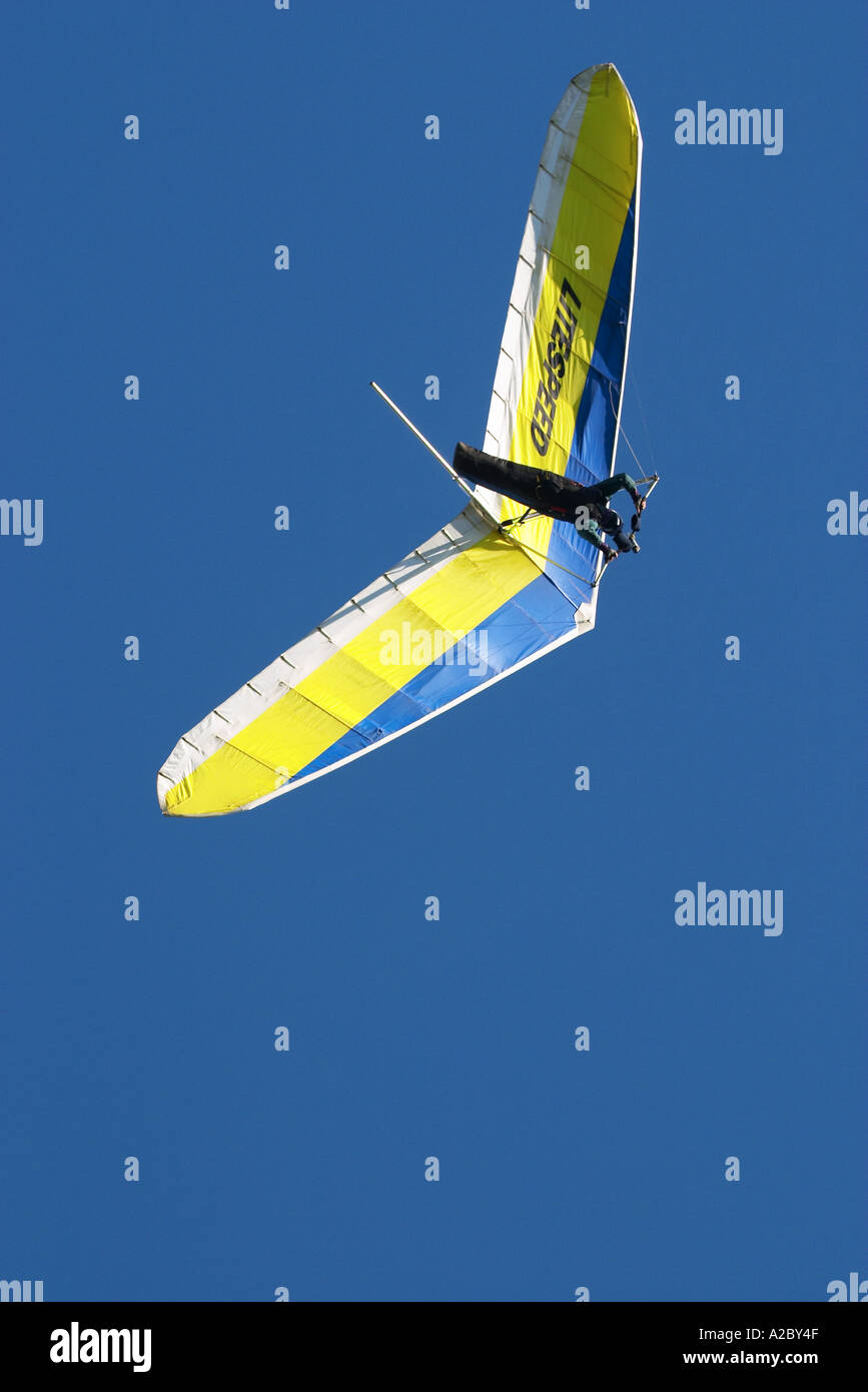 Planeur Péninsule d'Otago ile sud Nouvelle Zelande Banque D'Images