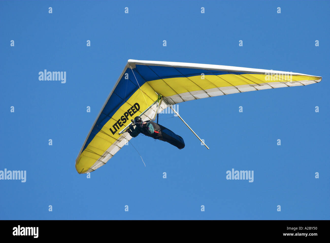 Planeur Péninsule d'Otago ile sud Nouvelle Zelande Banque D'Images