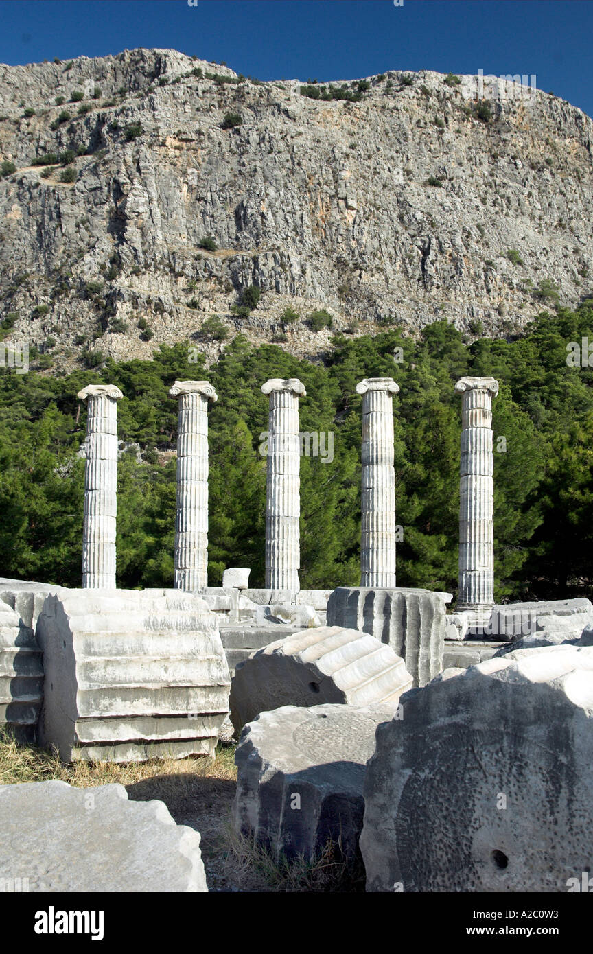 Plusieurs colonnes du temple d'Athéna sous Mt Mykale sont encore debout parmi les ruines de Priene Turquie Banque D'Images