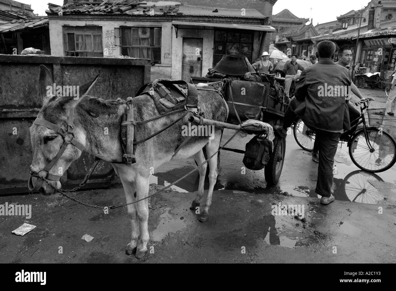Chine Shanxi Datong homme livrer le charbon avec un chariot tiré par un âne Banque D'Images