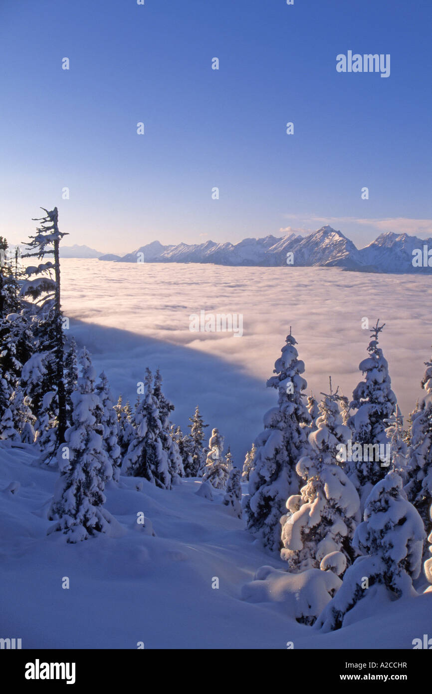 Brouillard dans la vallée de la rivière Inn. Dans l'arrière-plan les montagnes du Karwendel. Banque D'Images