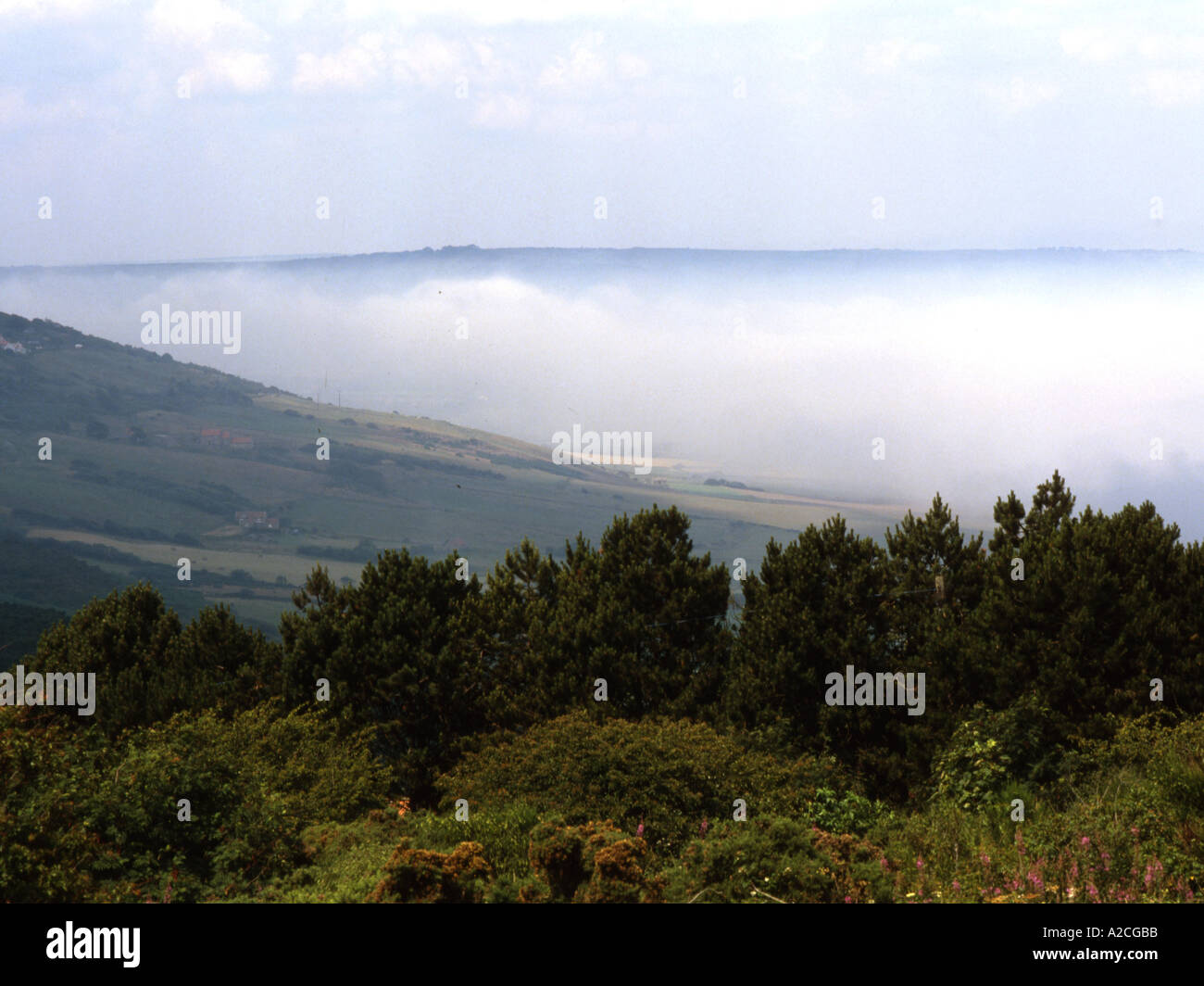 Fret maritime ou de brouillard en roulant à Robin Hood s Bay North Yorkshire Angleterre Banque D'Images