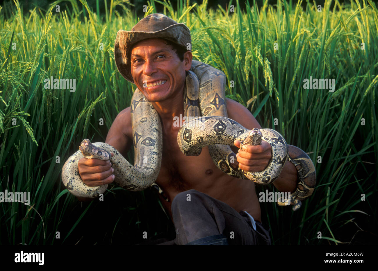 Le soi-disant homme Boa présente deux serpents en même temps. Il est propriétaire d'un petit zoo privé à l'Amazone près de Lima. Banque D'Images