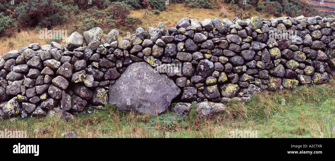 Mur de pierre 'dry' dans Wasdale Lake District Banque D'Images