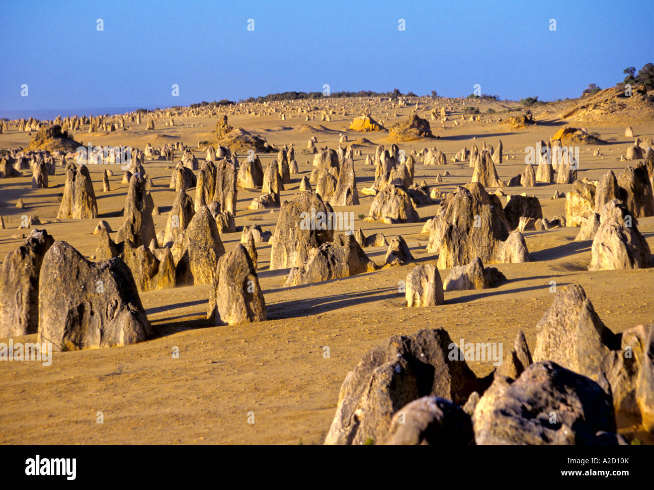 L'Australie l'Australie Occidentale Cervantes Pinnacles Banque D'Images