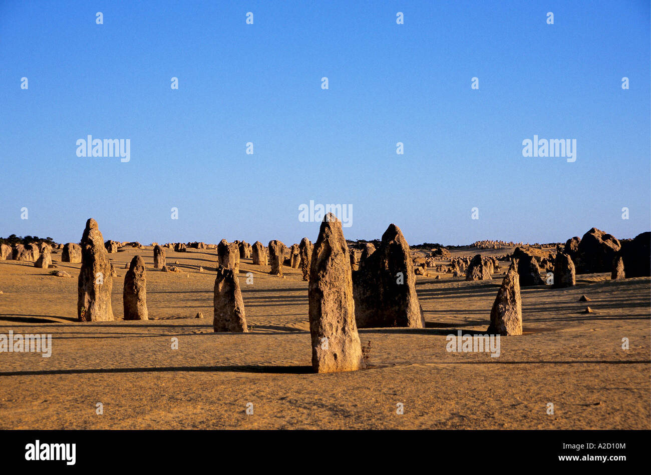 L'Australie l'Australie Occidentale Cervantes Pinnacles Banque D'Images