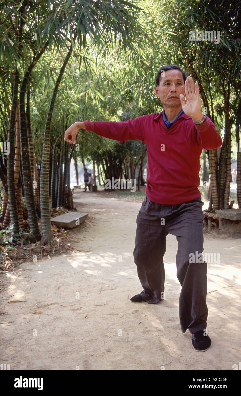 Homme pratiquant le taijiquan ou taichi dans un parc de la ville de Taishan, dans la province de Guangdong, dans le sud de la Chine. Banque D'Images