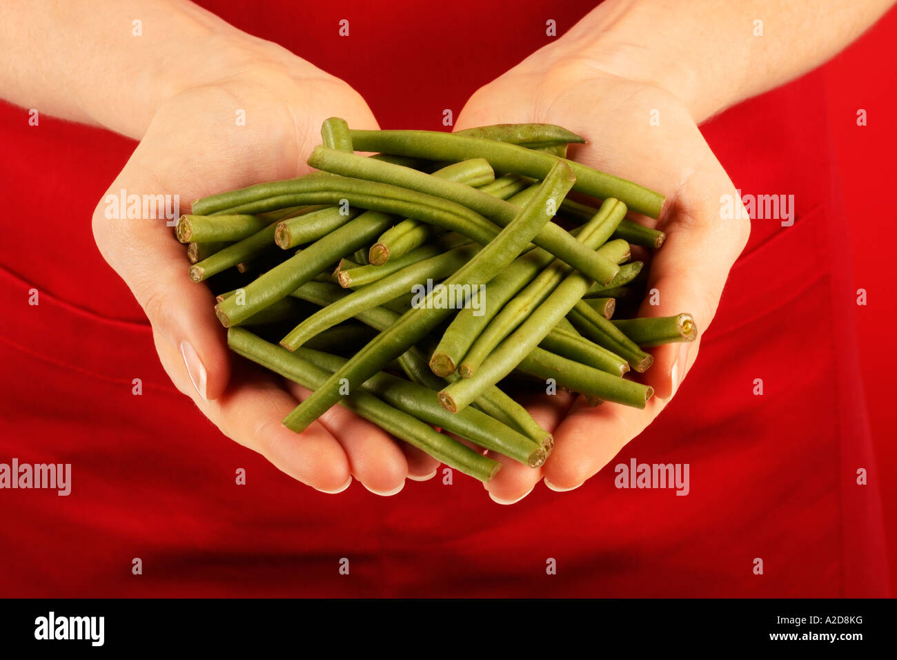 WOMAN HOLDING Haricots verts frais Banque D'Images