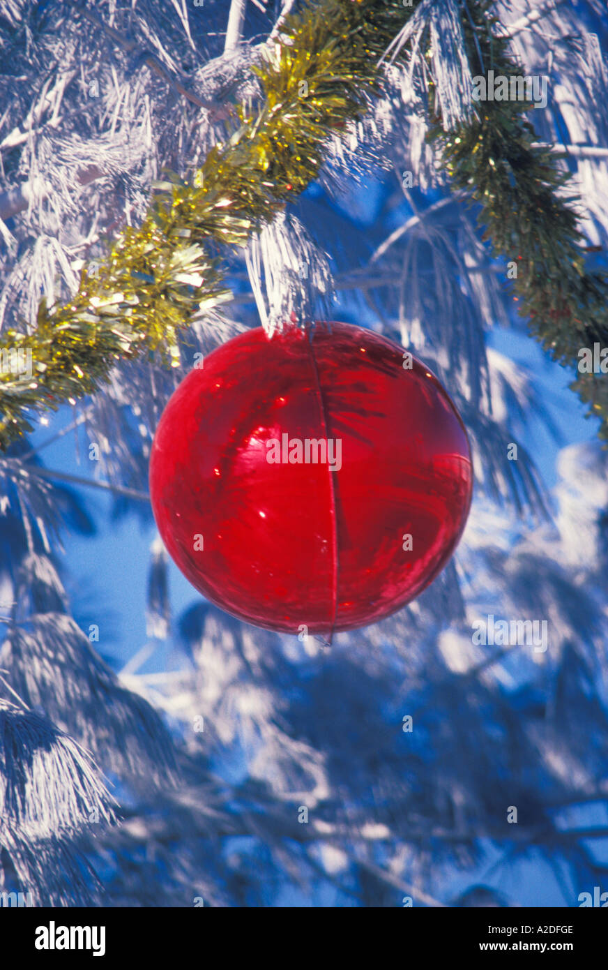 Une bille de verre rouge est suspendu à l'extérieur d'un ornement  décoration neige evergreen branche qui est décoré avec des guirlandes d'or  pour Noël, Misouri USA Photo Stock - Alamy