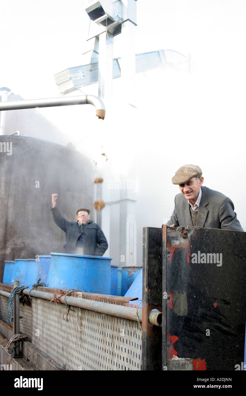 Deux agriculteurs qui surveille le processus de brassage dans une brasserie dans l'Oxfordshire. Banque D'Images