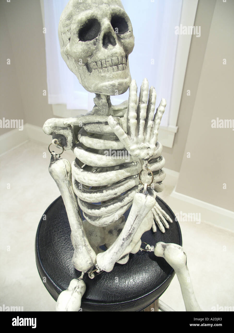 La main de squelette Banque D'Images