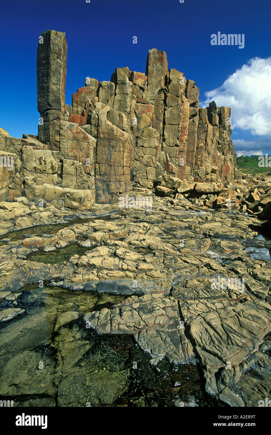 Structures colonnaires créé lors du refroidissement de la lave basaltique ère permienne près de Bombo Beach Kiama Illawarra New South Wales Australie Banque D'Images