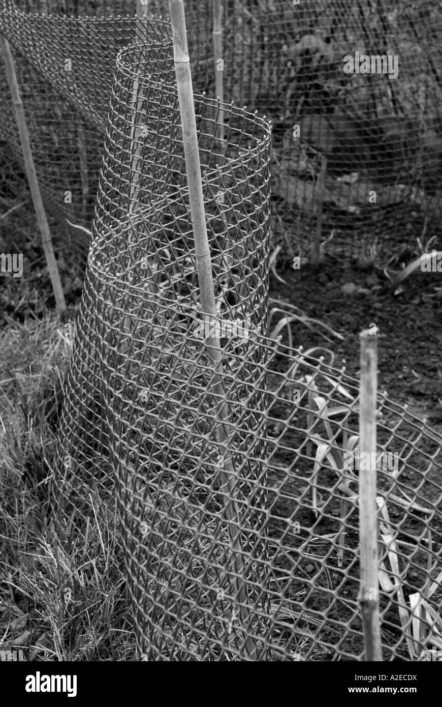 Filet de jardin Banque D'Images