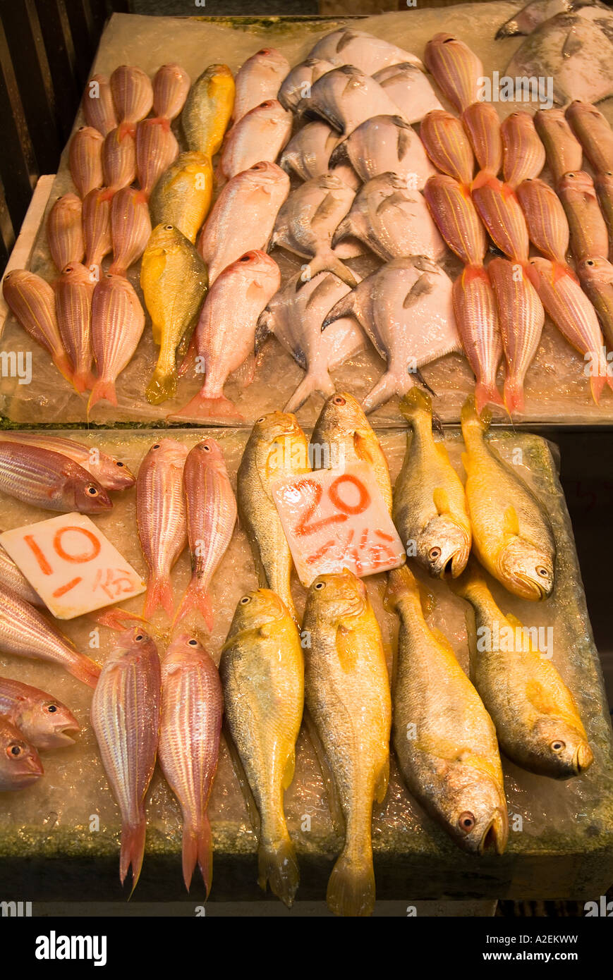 dh Chun Yeung Street Market HK NORTH POINT HONG KONG plaque de glace froide exposition de poissons frais humides à vendre étiquette de prix poissonnier Chine Banque D'Images