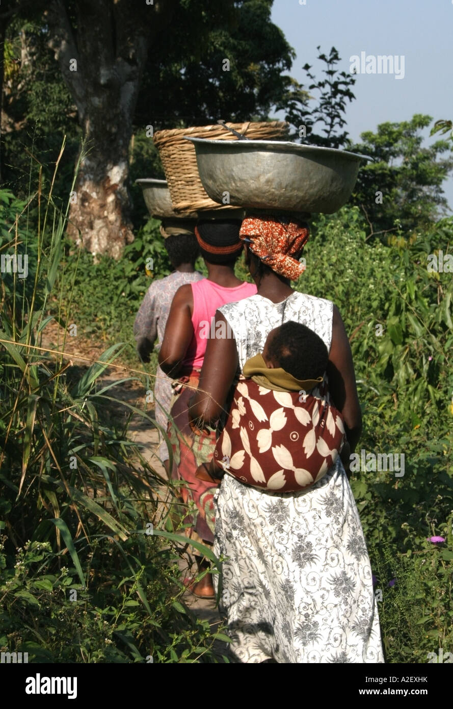 Retour de trois femmes togolaises portant sur leurs têtes des bols, Mont Klouto , Kpalimé, Togo Banque D'Images