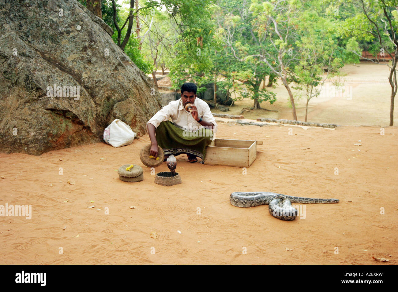 Charmeur de serpents, Sri Lanka Asie. Un charmeur de serpent charmant un cobra dans un panier et un boa constrictor ; Sri Lanka tourisme et voyage. Banque D'Images