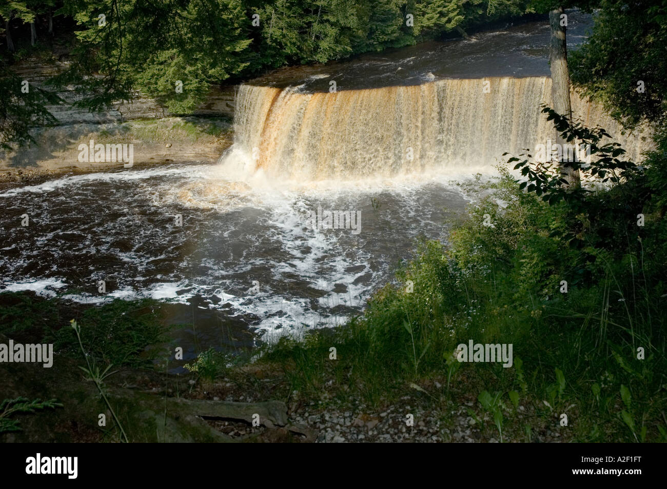 P32 154 East Tahquamenon Falls dans la partie supérieure du Michigan Penninsula- couleur marron de Tannin venir Banque D'Images
