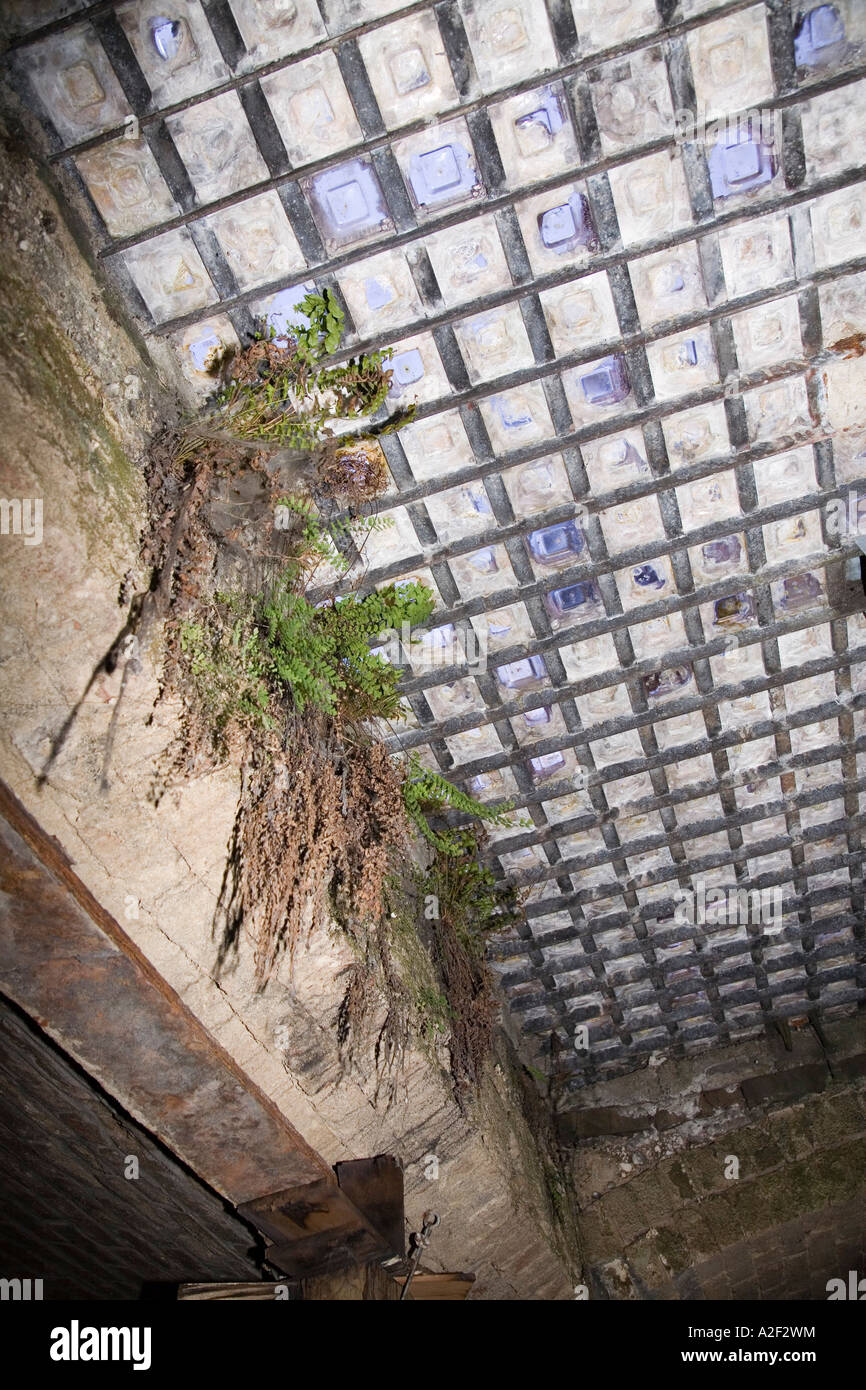 Caillebotis en verre de trottoir visite souterraine Seattle États-Unis Banque D'Images