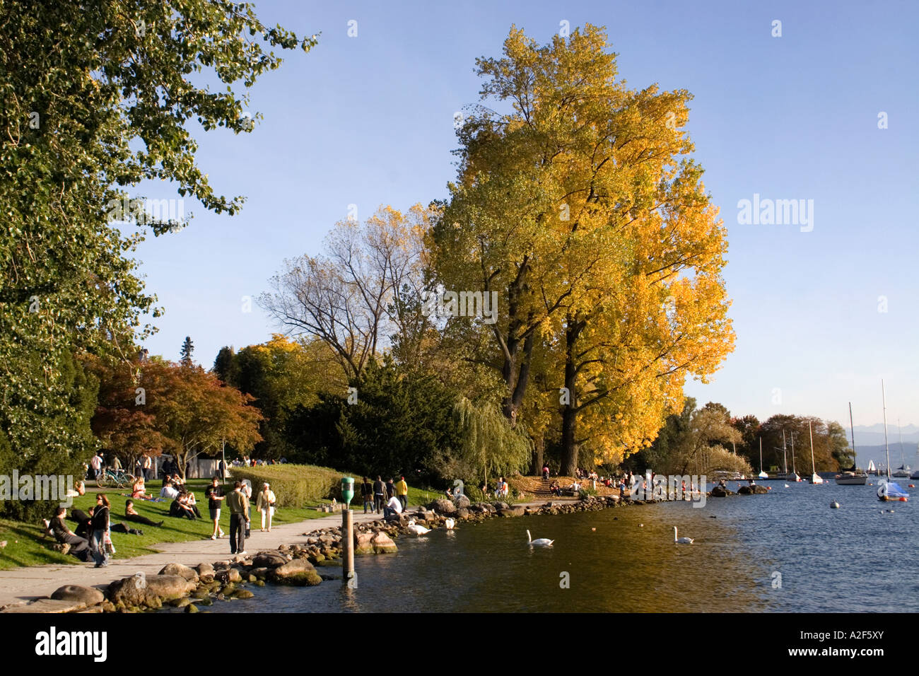 La Suisse Zuerich Zurich promenade au bord du lac en automne les arbres les gens Banque D'Images