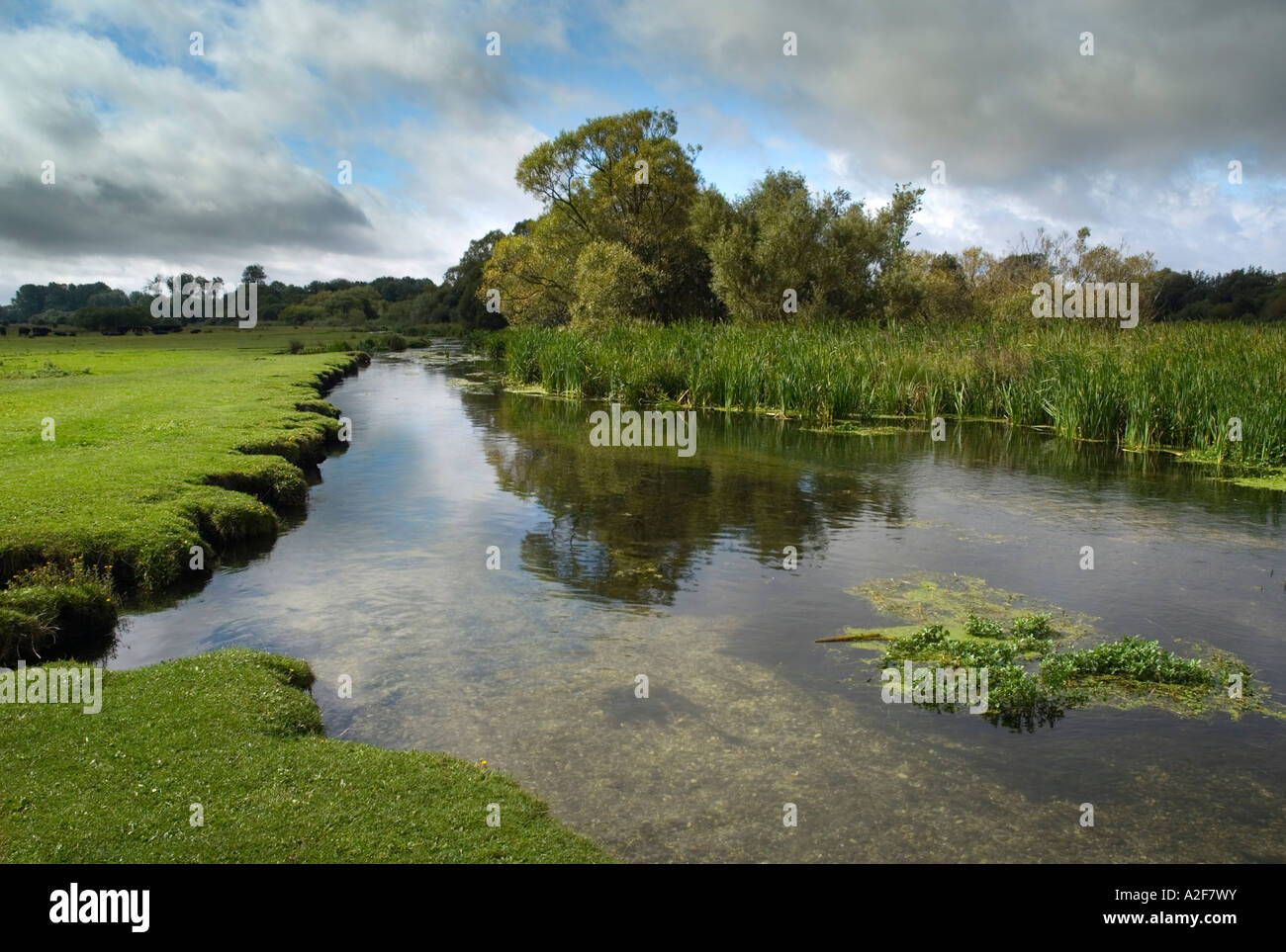 Test de la rivière - Stockbridge. L'Angleterre Banque D'Images