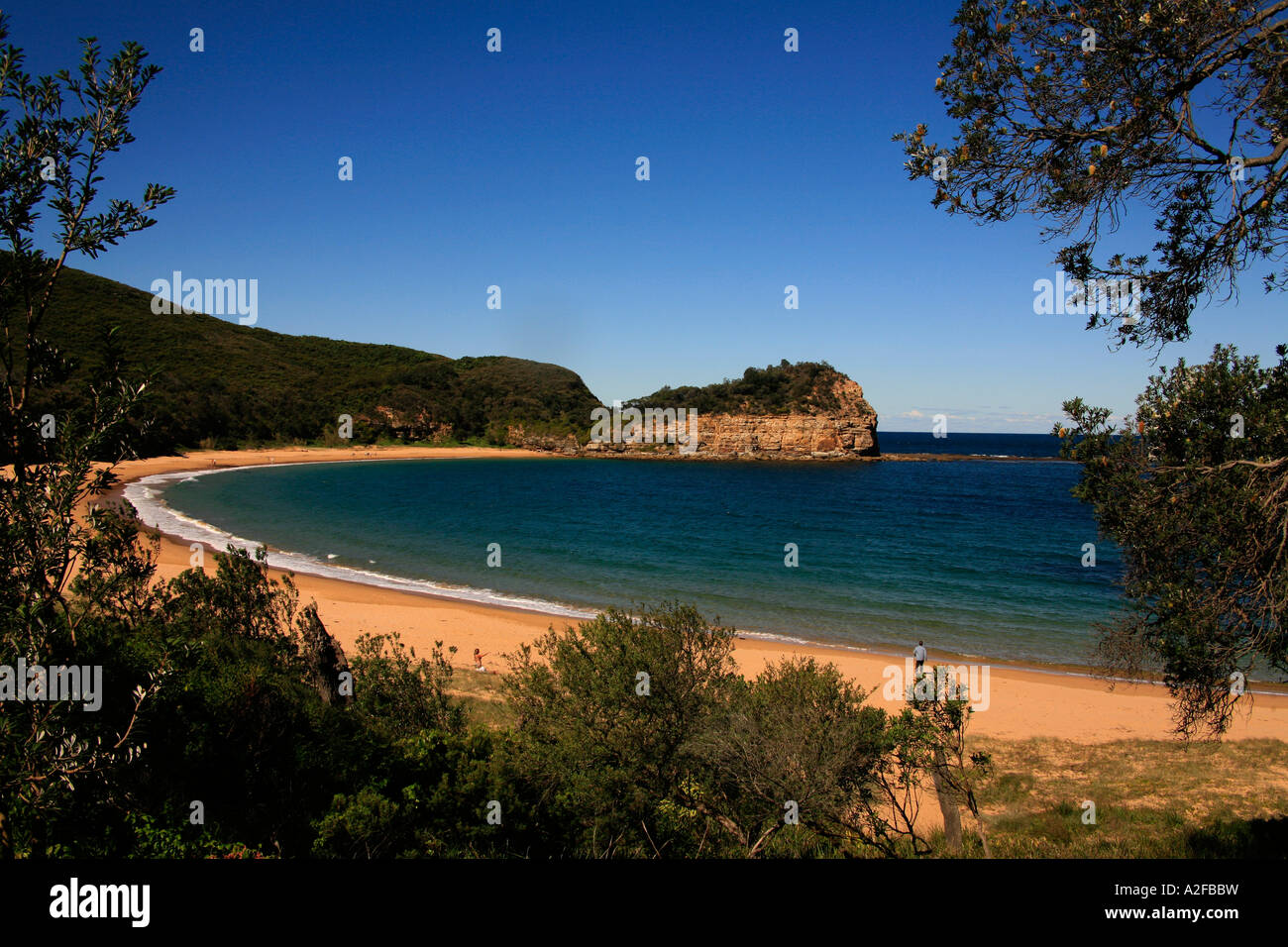 Maitland bay dans la Bouddhi National Park Central Coast NSW Australie Banque D'Images