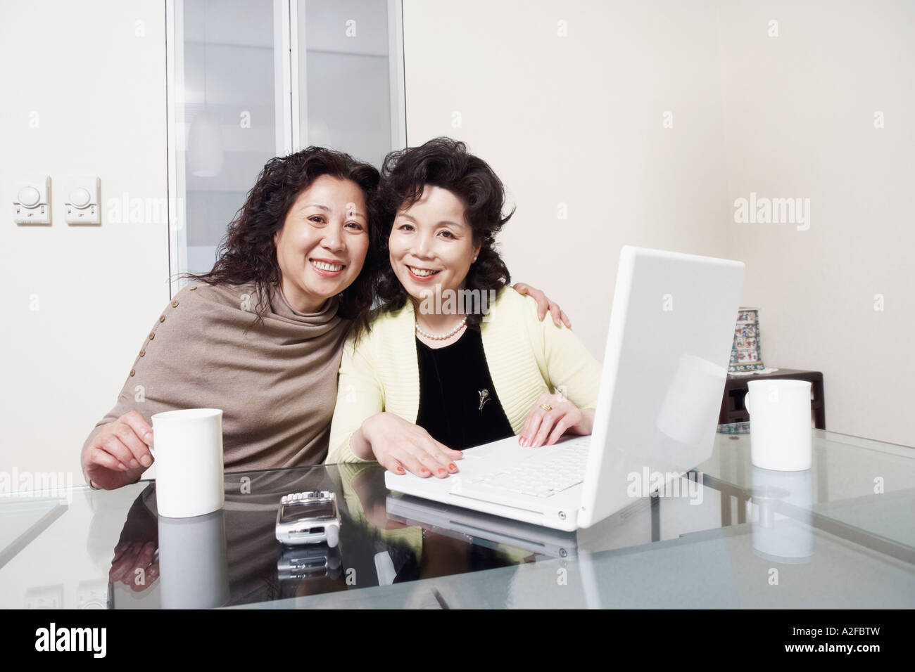 Portrait de deux femmes mûres en utilisant un ordinateur portable smiling Banque D'Images