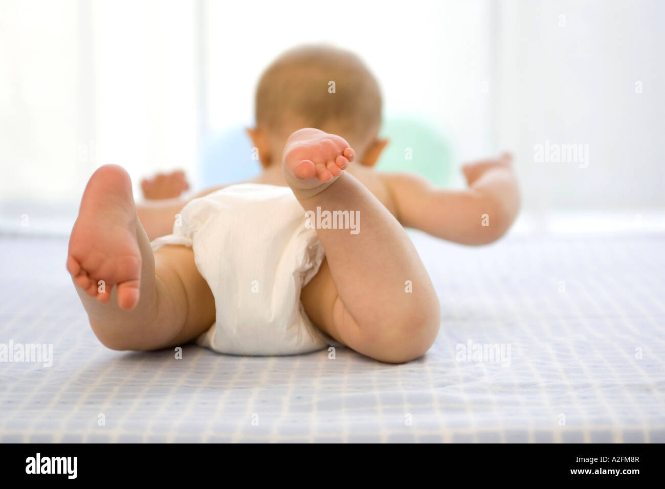 Bébé garçon (6-12 mois) allongé sur le ventre, vue arrière Banque D'Images