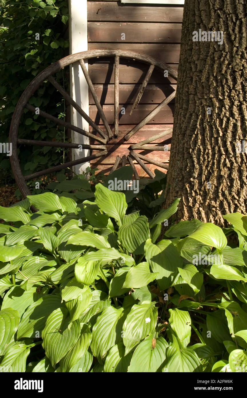 Hosta et Roue de chariot, DePuy Canal House, High Falls, New York Banque D'Images