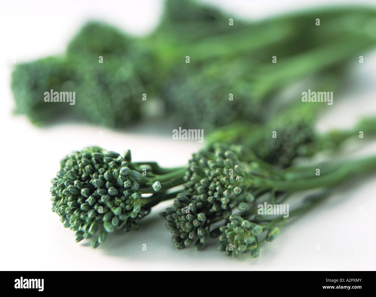 Close up de bouquets de brocoli sur fond blanc Banque D'Images