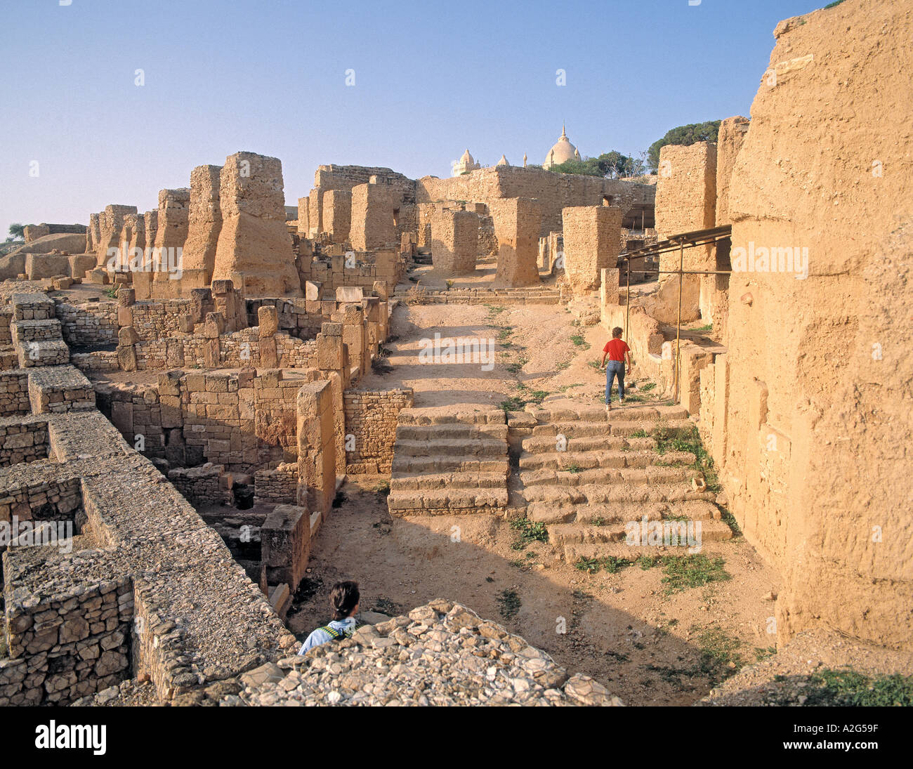 Ruines de Carthage tunisie Banque D'Images
