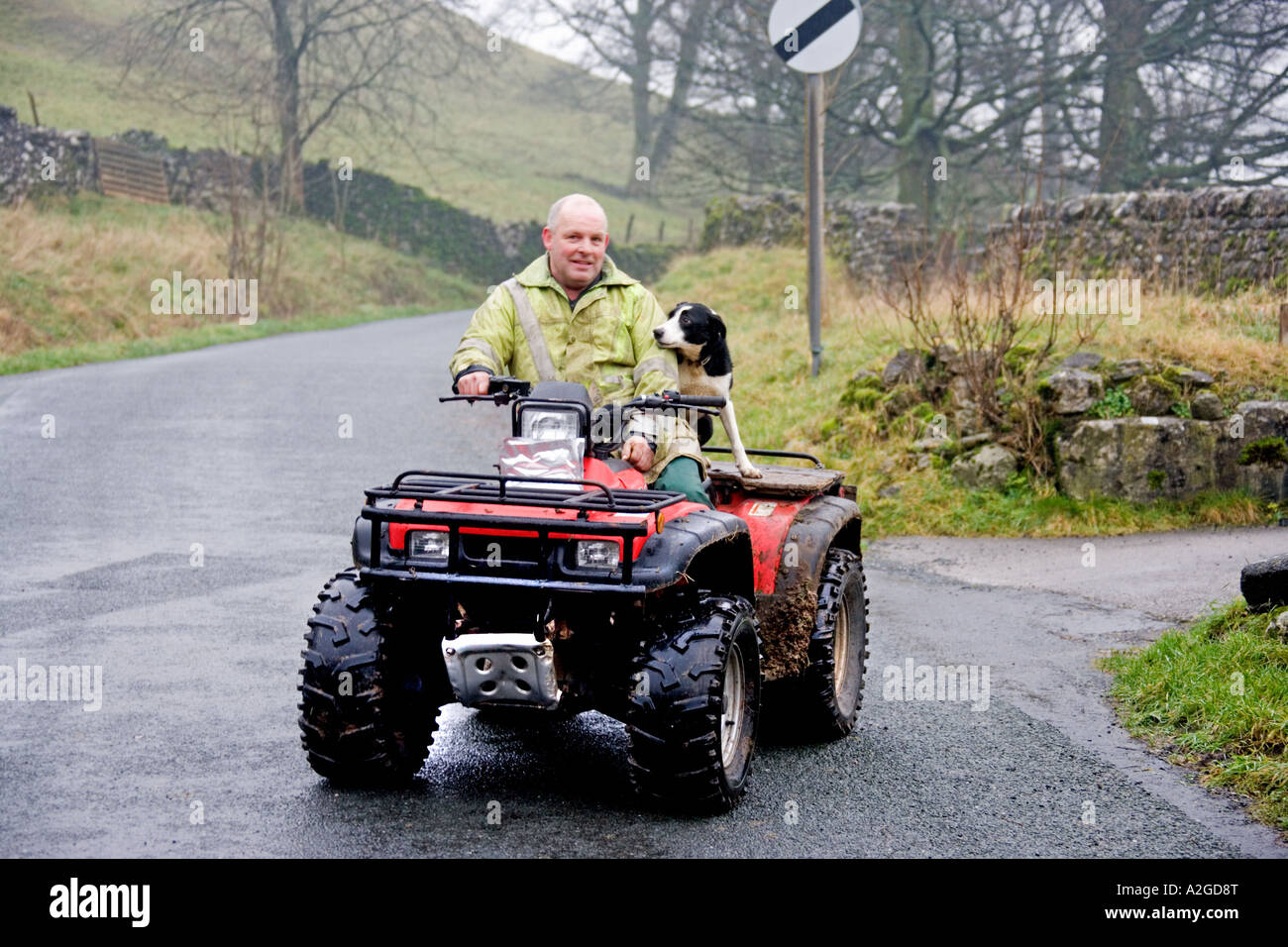 Le meilleur ami de l'homme. Yorkshire Dales, Banque D'Images