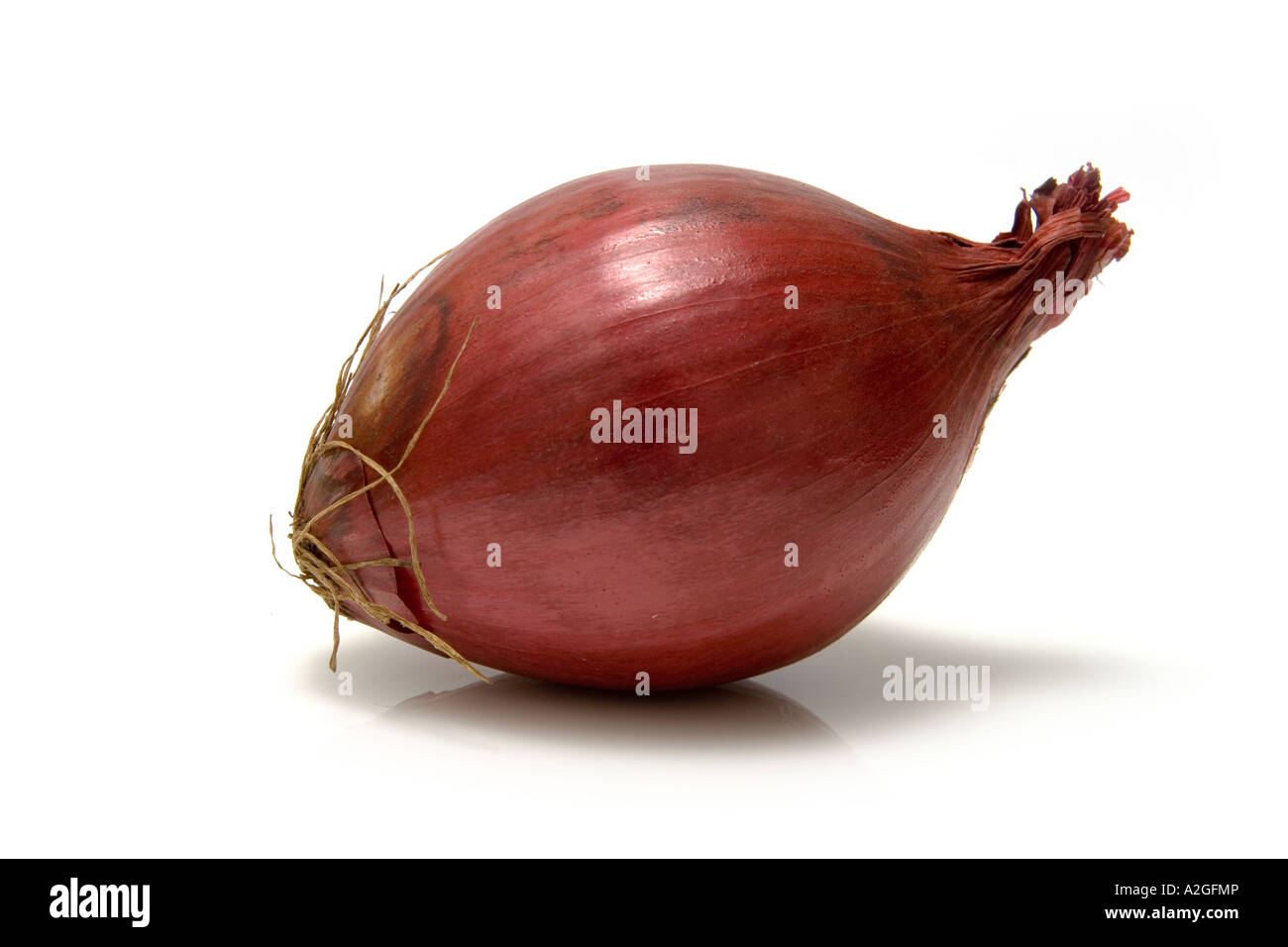 Oignon rouge isolé sur fond blanc un studio. Banque D'Images