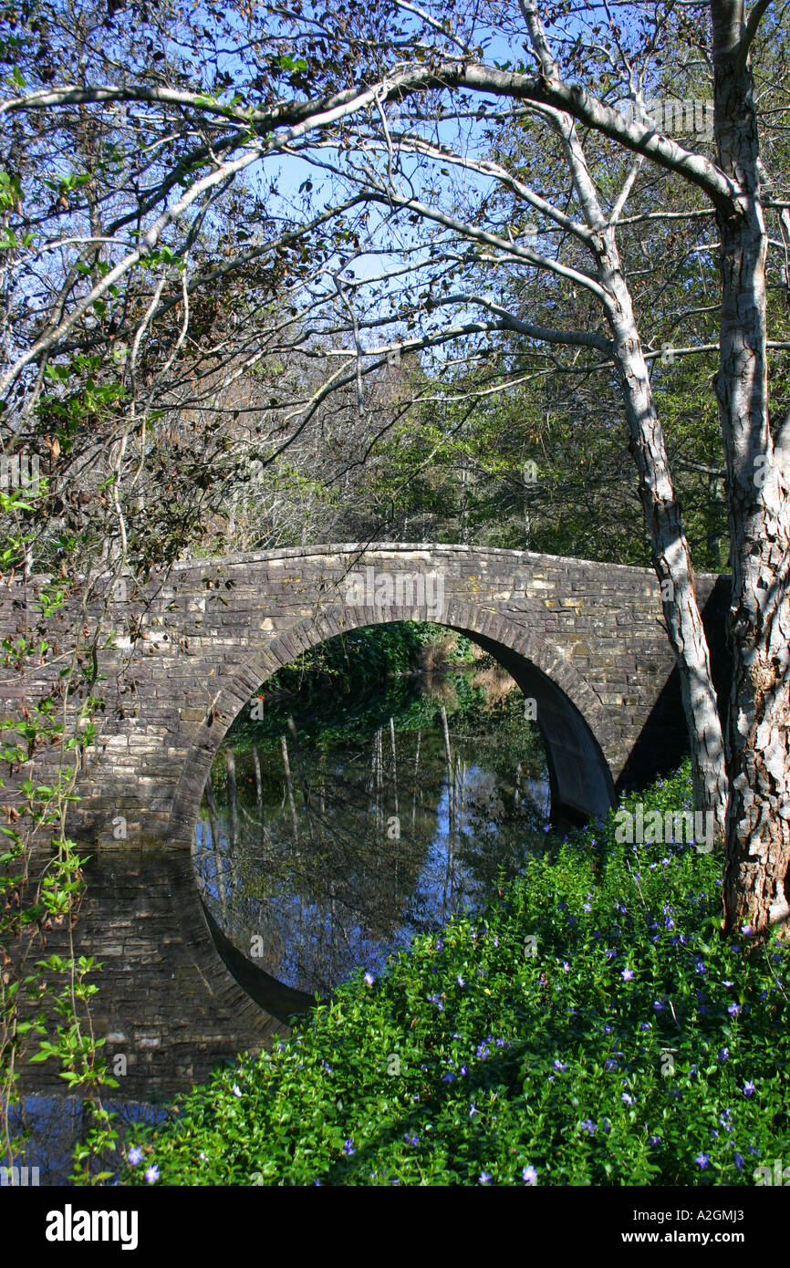 Jardin de Hamilton, Hamilton, Nouvelle Zélande Banque D'Images