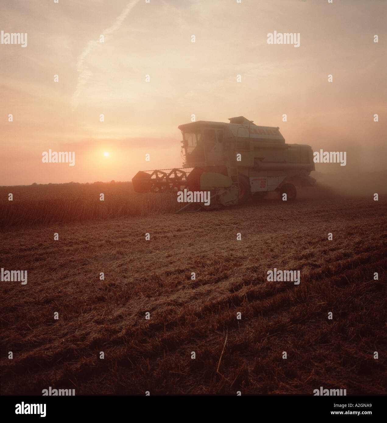 Combiner la récolte tard un soir d'été avec le soleil baigné dans la lumière orange, Berkshire Banque D'Images