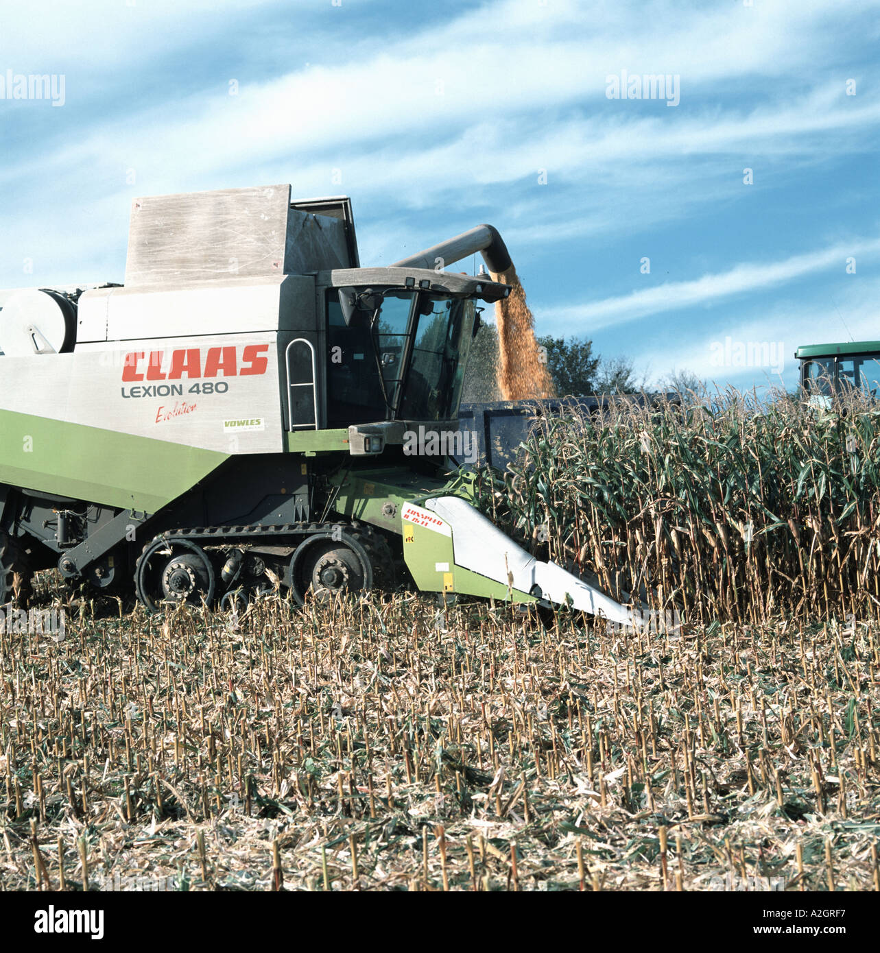 Un rendmt Lexion Claas moissonneuse-batteuse équipée d'un cueilleur maïs Conspeed combinant une récolte Octobre Devon Banque D'Images