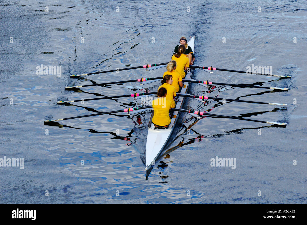 Le sport, l'aviron sur la Rivière Yarra Banque D'Images