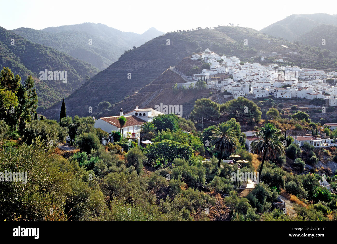 'Finca el Cerrillo' a 200 ans située au milieu des oliviers Andalousie Espagne Banque D'Images