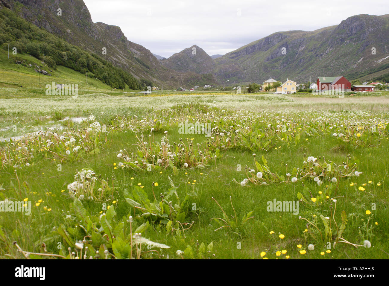 Vue sur la montagne de Refviksanden beach, île de Vagsoy, Sogn og Fjordane, Norvège Banque D'Images
