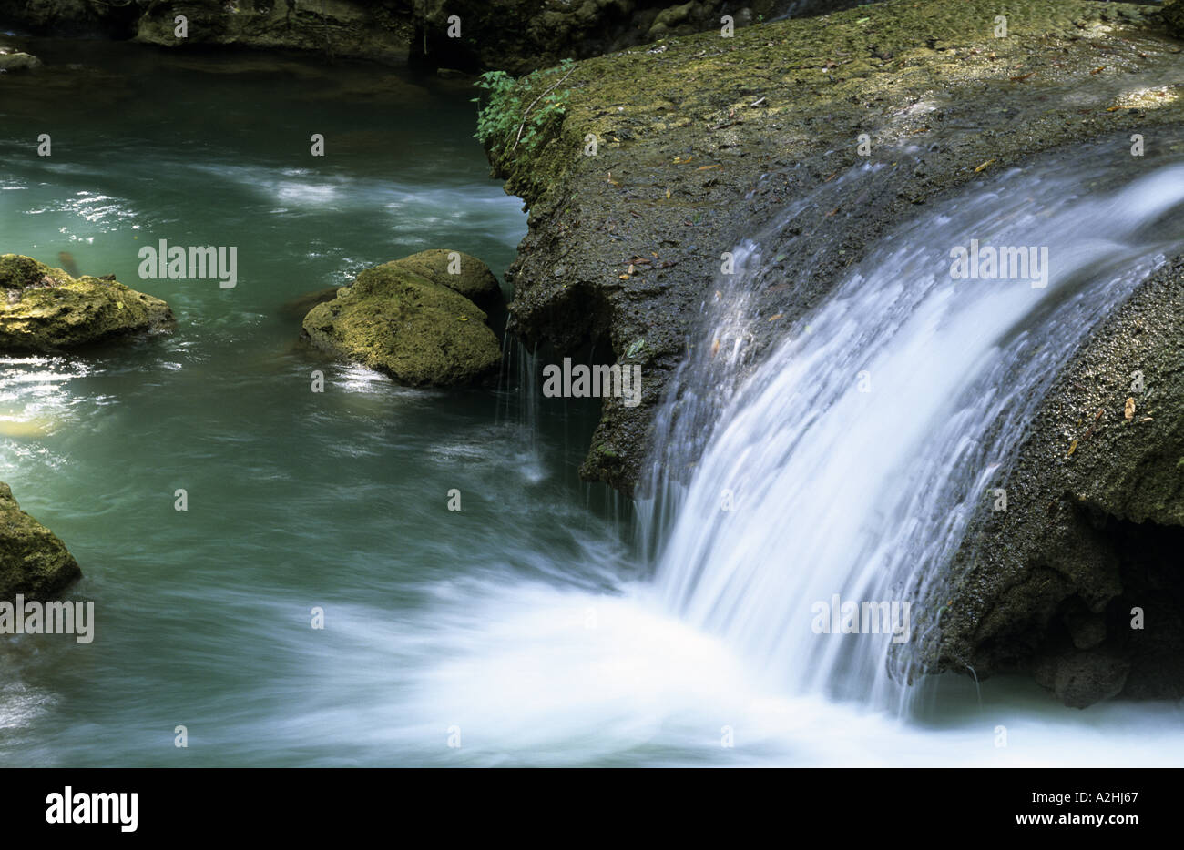 La Jamaïque St Elizabeth YS Falls Banque D'Images