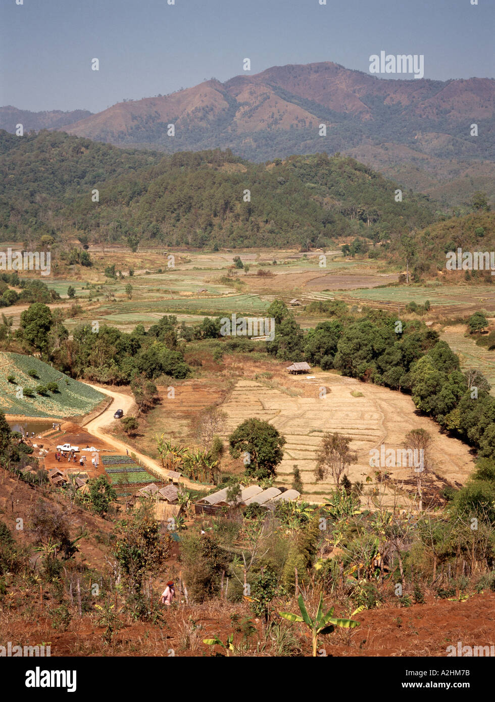 Thaïlande Mae Hong Son domaine Napapak dans la production de légumes anciens les champs de pavot Banque D'Images