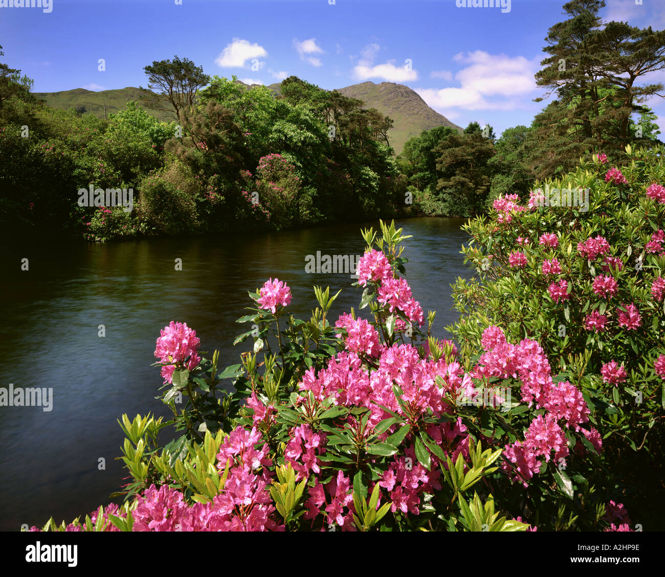 IE - Cie. Galway : Lough Fee dans le Connemara Banque D'Images