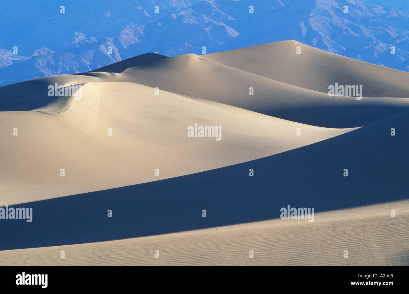 Télévision Mesquite Sand Dunes Death Valley National Park Californie Banque D'Images