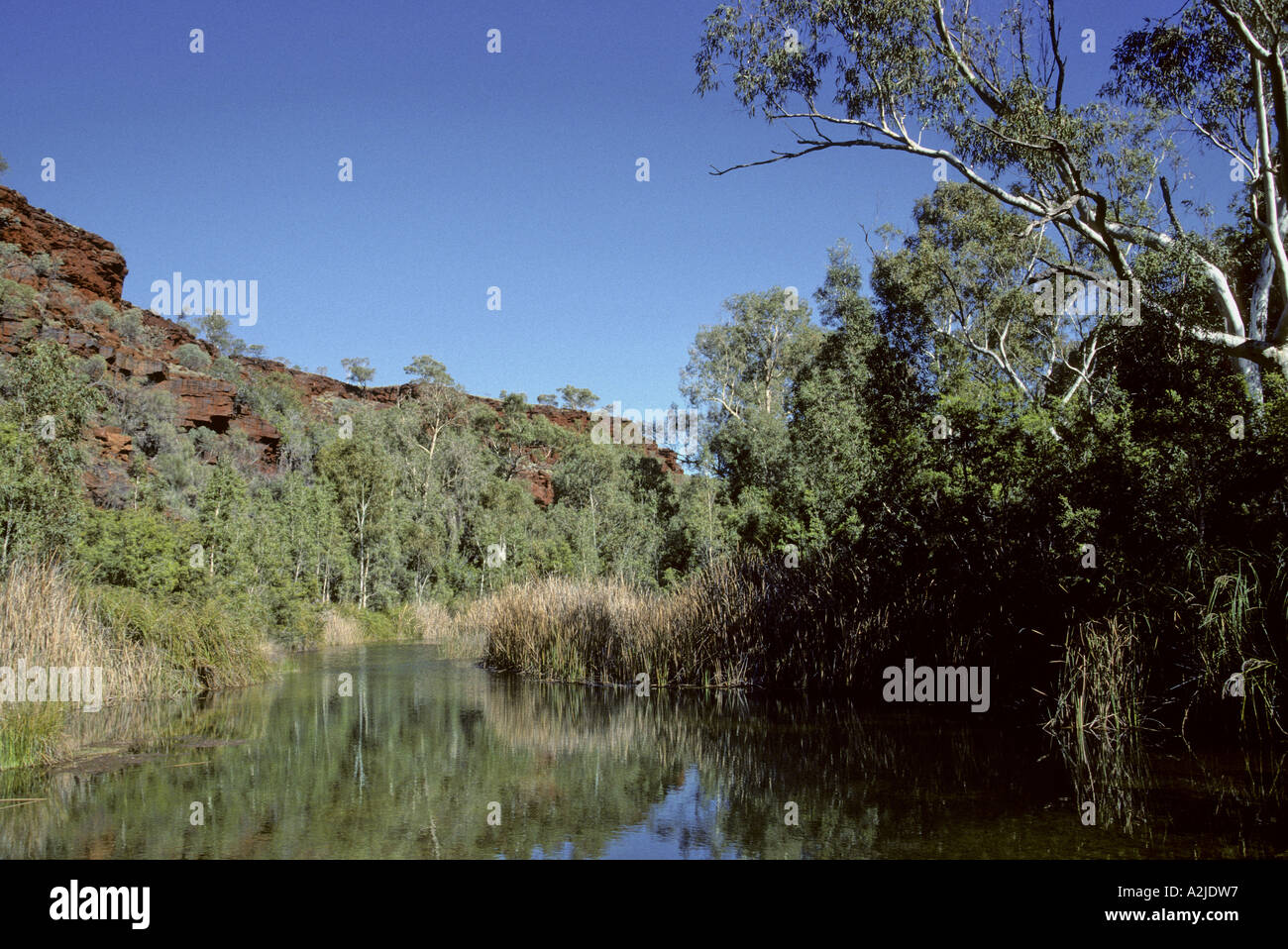 Fortesque River Hamersley varie l'ouest de l'Australie Banque D'Images Fortesque River Hamersley varie l'ouest de l'Australie Banque D'Images