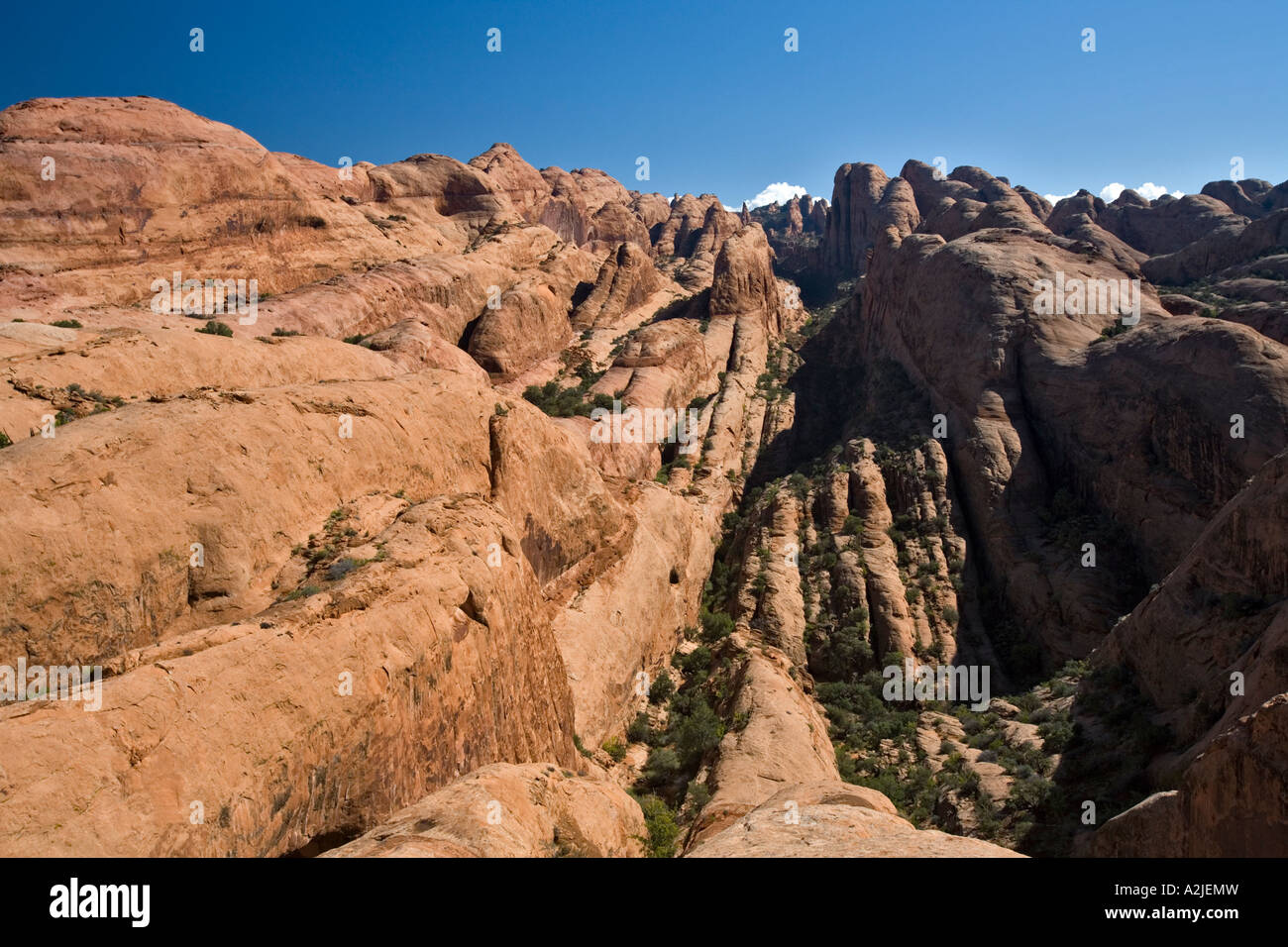 Derrière les roches domaine dans Moab, Utah Banque D'Images