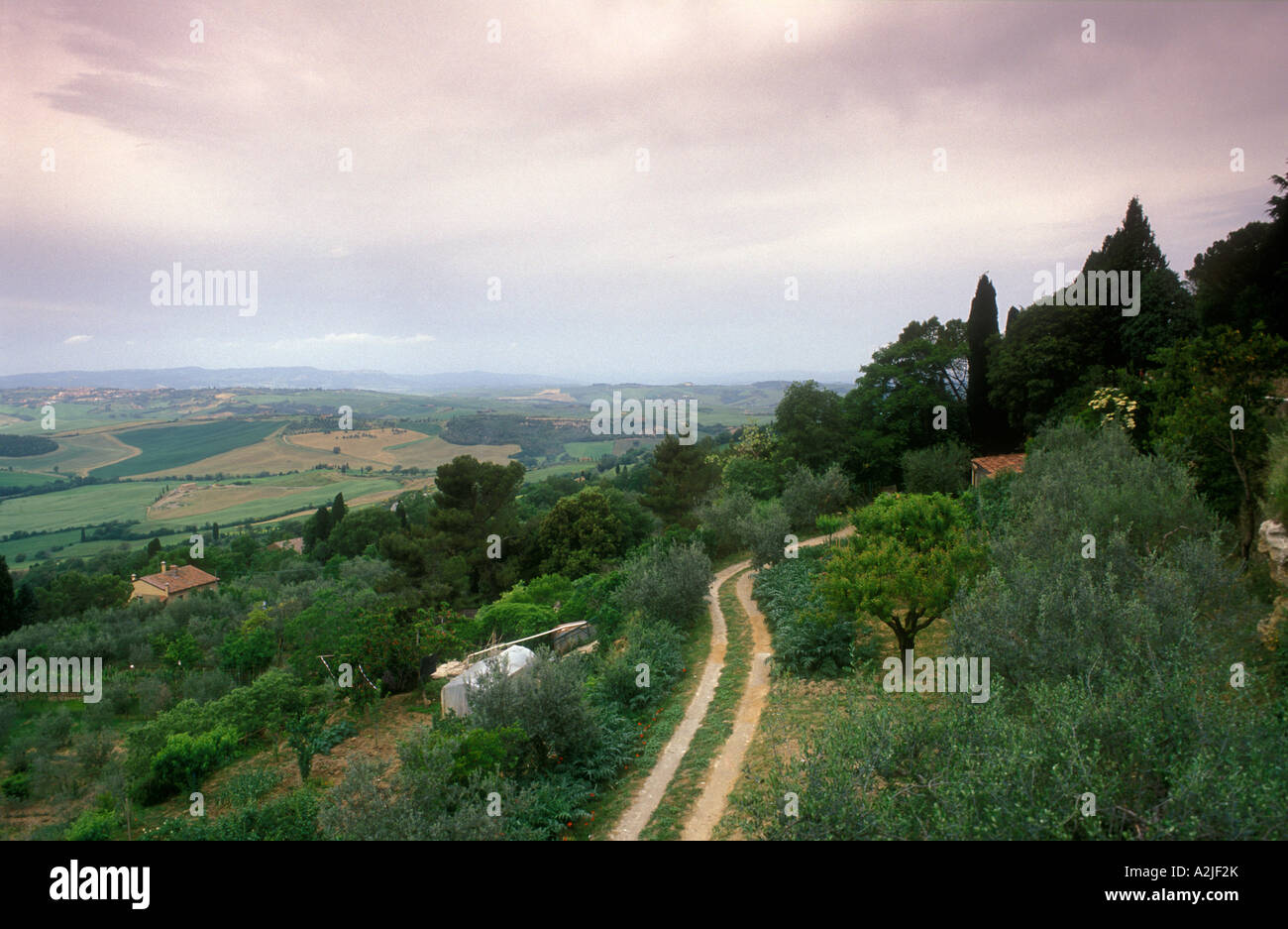 Italie Pienza Toscane vue sur la campagne avec un chemin de terre chemin Banque D'Images