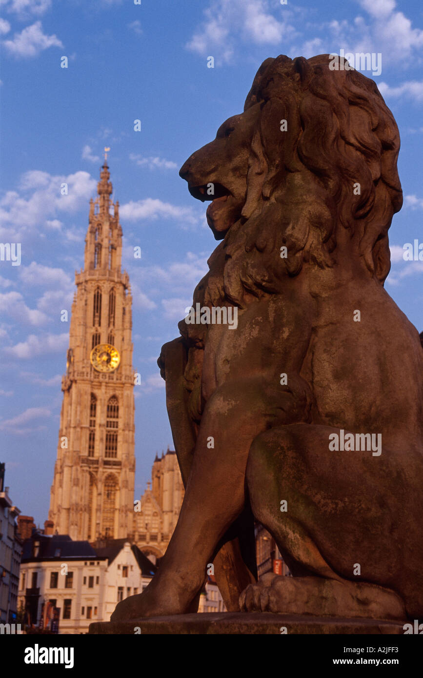 Belgique Anvers La Cathédrale Notre-Dame Banque D'Images