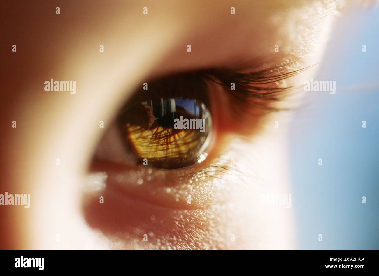 Extreme close up of a young childs eye Banque D'Images